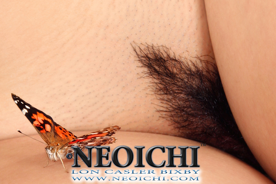 NEOICHI #233 - Venus Butterfly - Photography by Lon Casler Bixby - Copyright - All Rights Reserved - www.NEOICHI.com