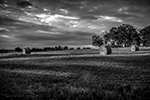 Round Bales - Series - Texas, 2014 - 0386 - Photography by Lon Casler Bixby - Copyright - All Rights Reserved - www.neoichi.com