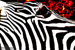 Red Zebra Head - Photography by Lon Casler Bixby - Copyright - All Rights Reserved - www.LCBPhotography.com